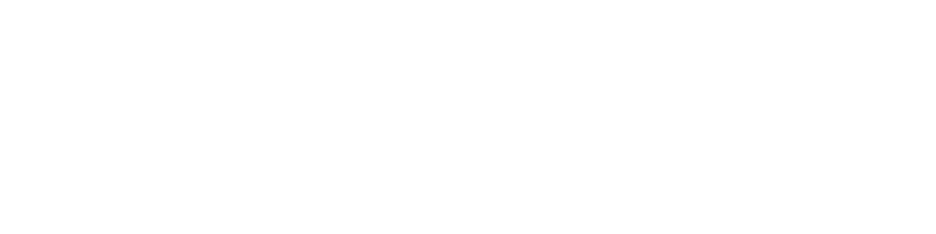 insana-deger-psikoloji-logo
